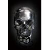 7037-tableau-sur-verre-tete-de-mort-80-x-120-cm-noir-gris