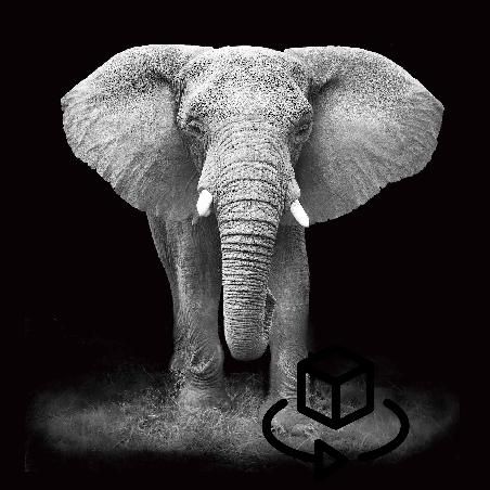 9180-tableau-sur-verre-elephant-100-x-100-cm-gris-noir